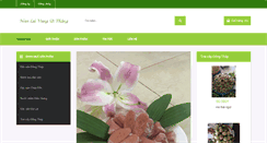 Desktop Screenshot of nemlaivungutthang.com